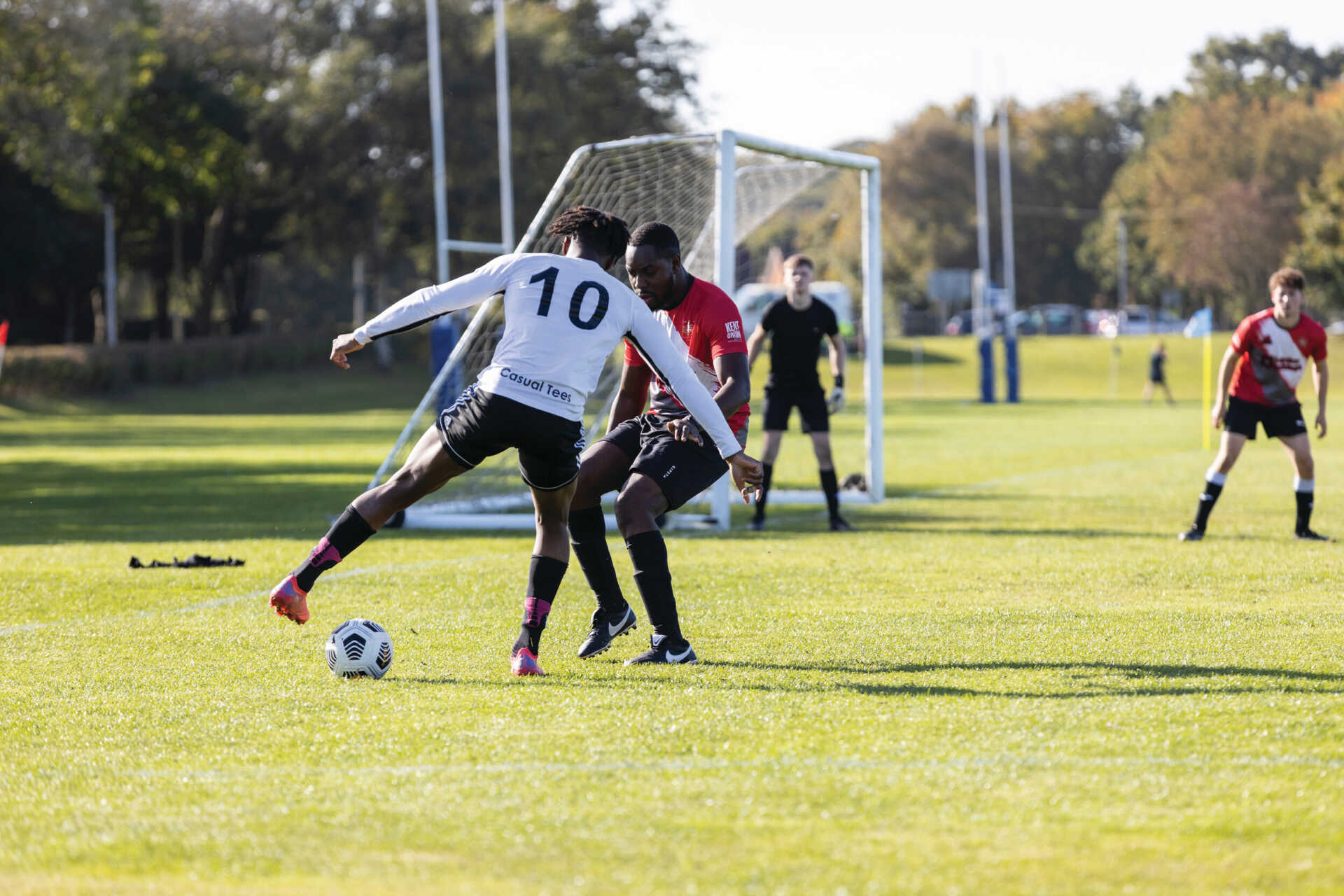 约基奇本场 约基奇本场