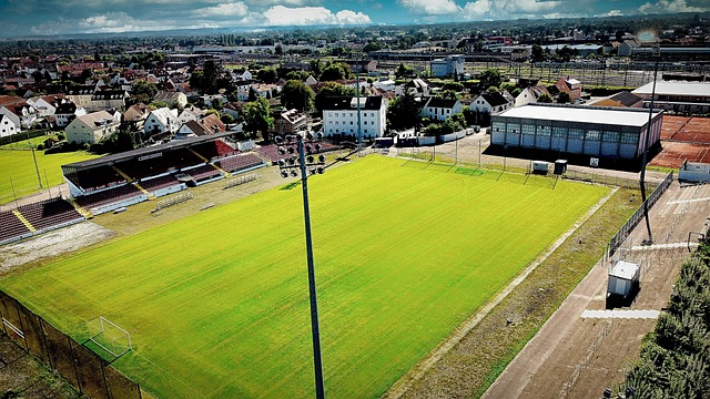 主队经常利 主队经常利