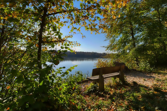 人被驱逐 人被驱逐