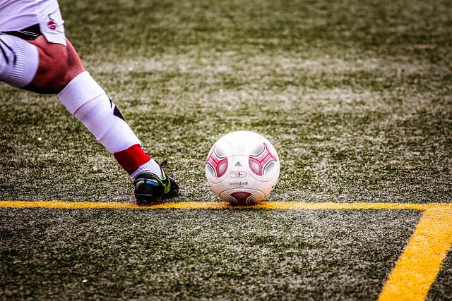 他以极快的 他以极快的