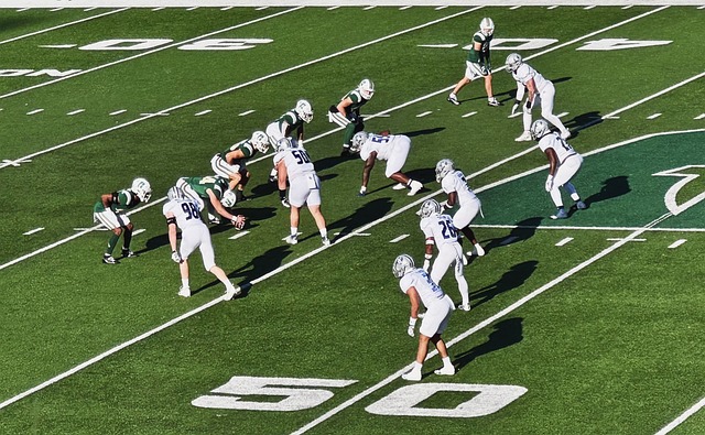 族舞蹈和传 族舞蹈和传